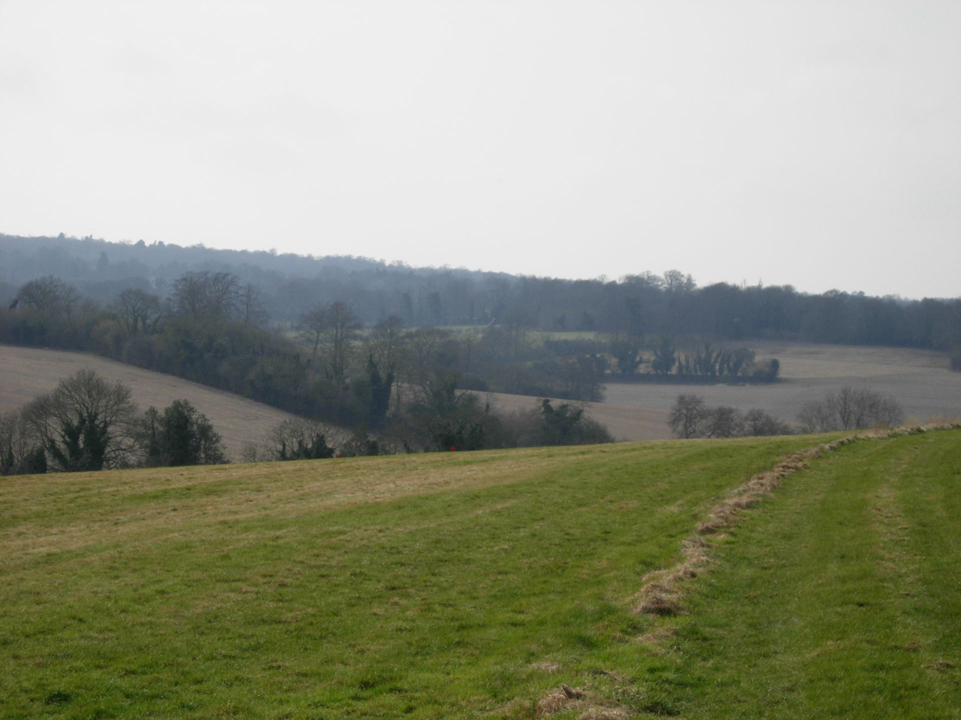 Epsom Downs view
